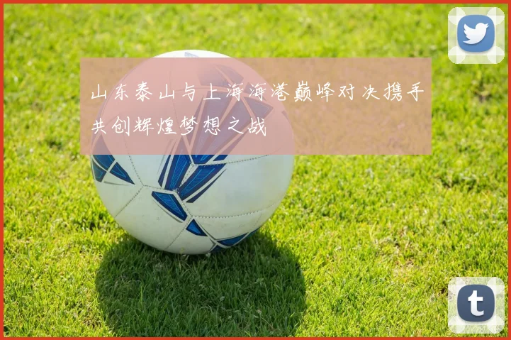 山东泰山与上海海港巅峰对决携手共创辉煌梦想之战
