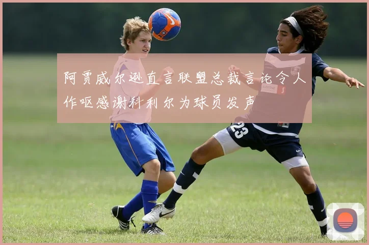 阿贾威尔逊直言联盟总裁言论令人作呕感谢科利尔为球员发声